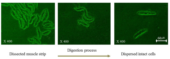 Molecules 19 05135 g001 550