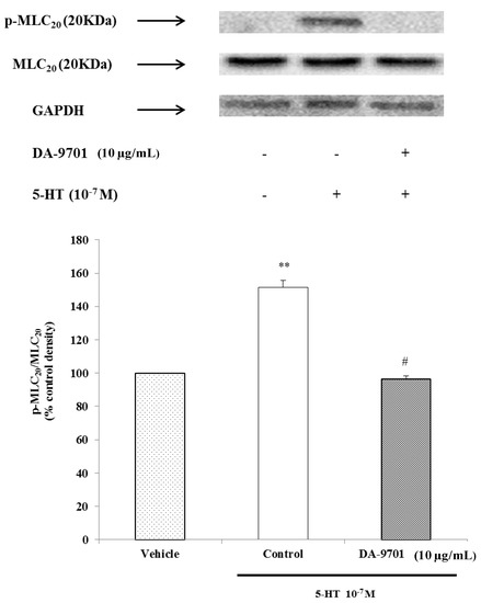 Molecules 19 05135 g010 550