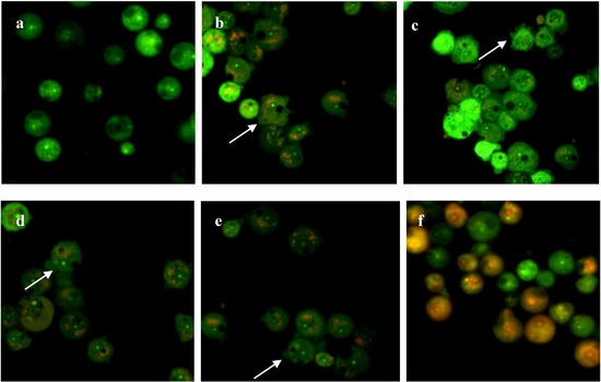 Molecules 19 05191 g003 550
