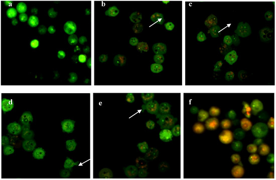 Molecules 19 05191 g004 550