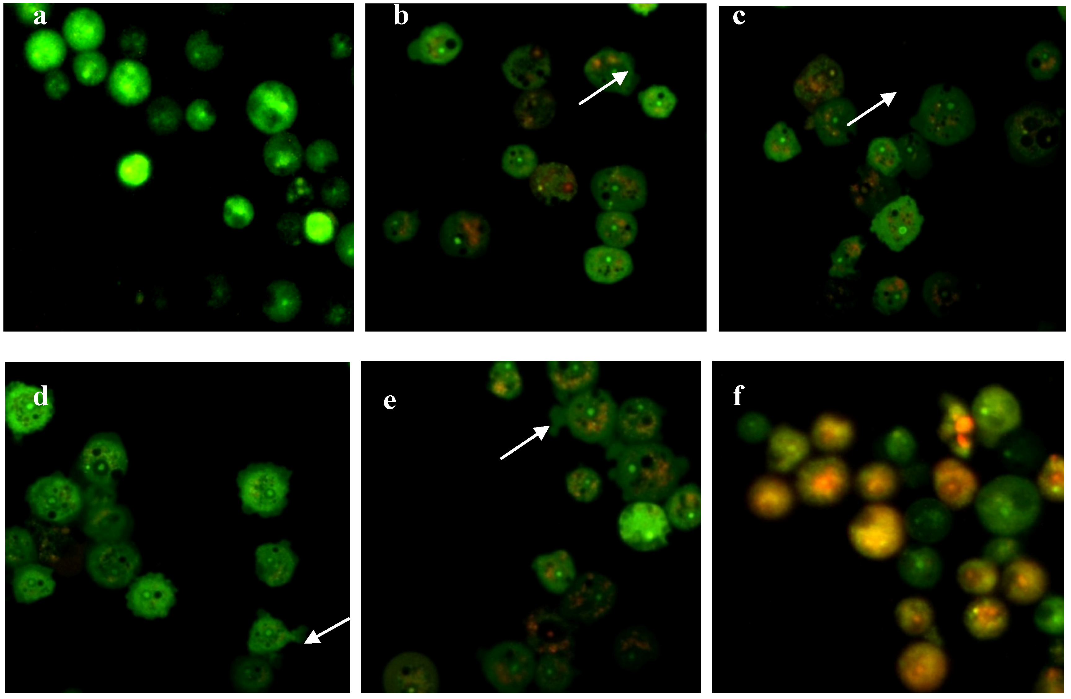 Molecules 19 05191 g004