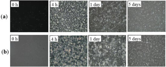 Molecules 19 05348 g002 550