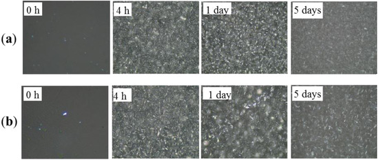Molecules 19 05348 g003 550