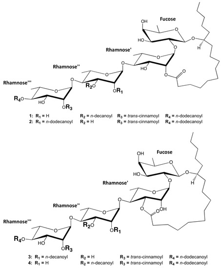 Molecules 19 05421 g001 550