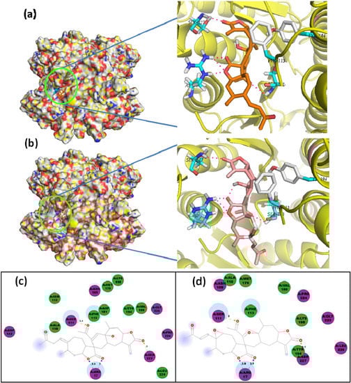Molecules 19 05550 g010 550