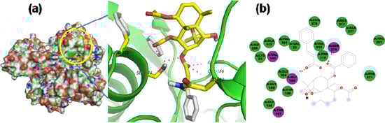 Molecules 19 05550 g012 550