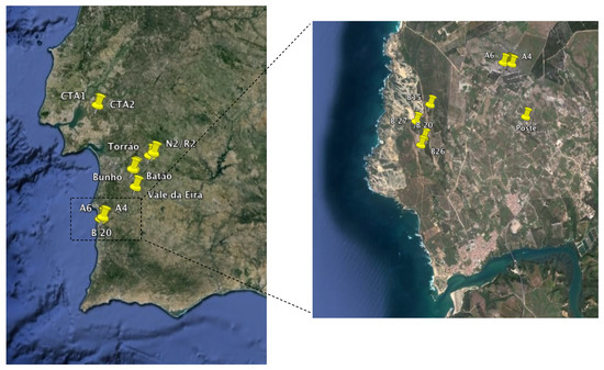 Molecules 19 05570 g001 550