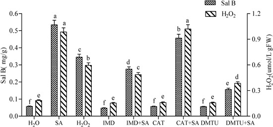 Molecules 19 05913 g001 550
