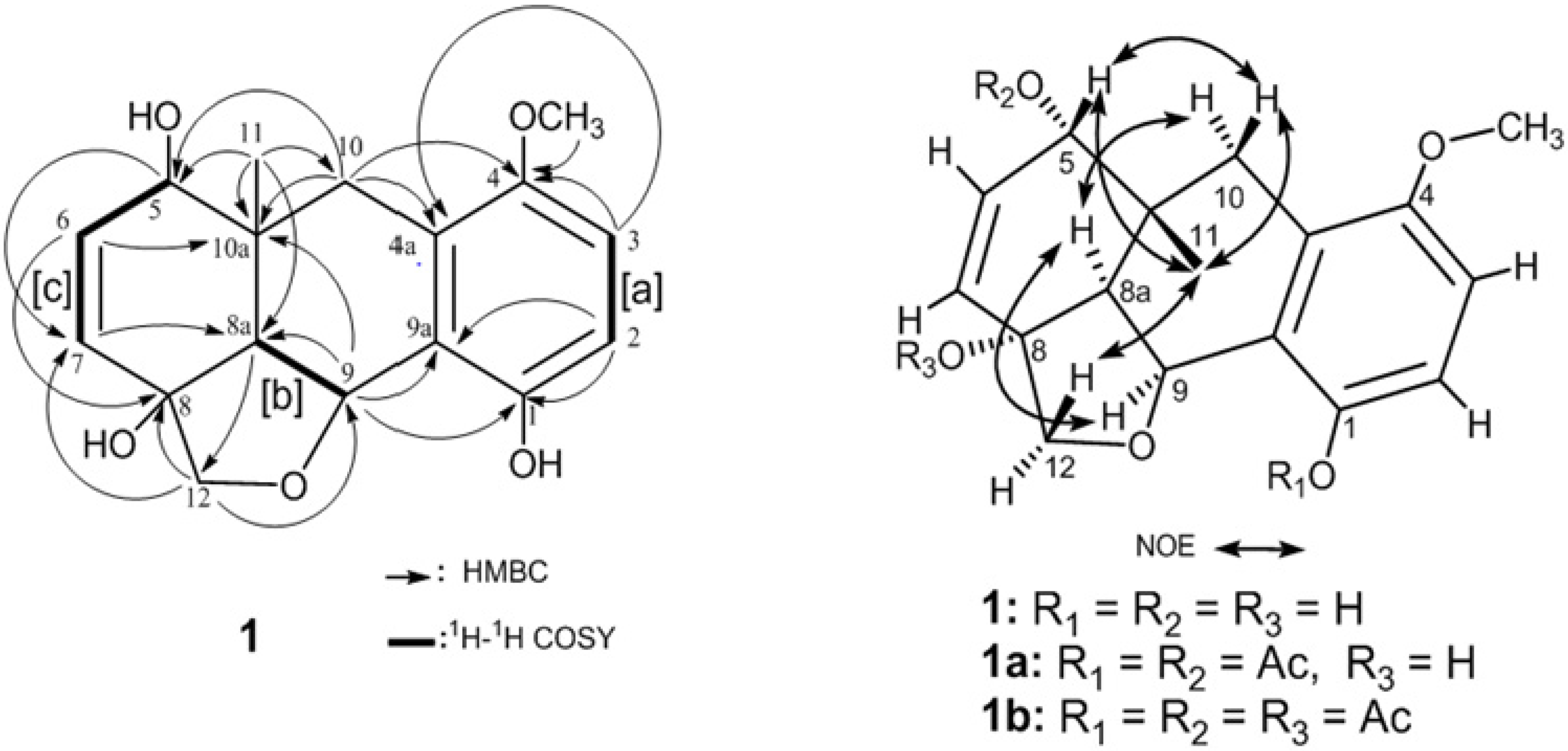 Molecules 19 05940 g002