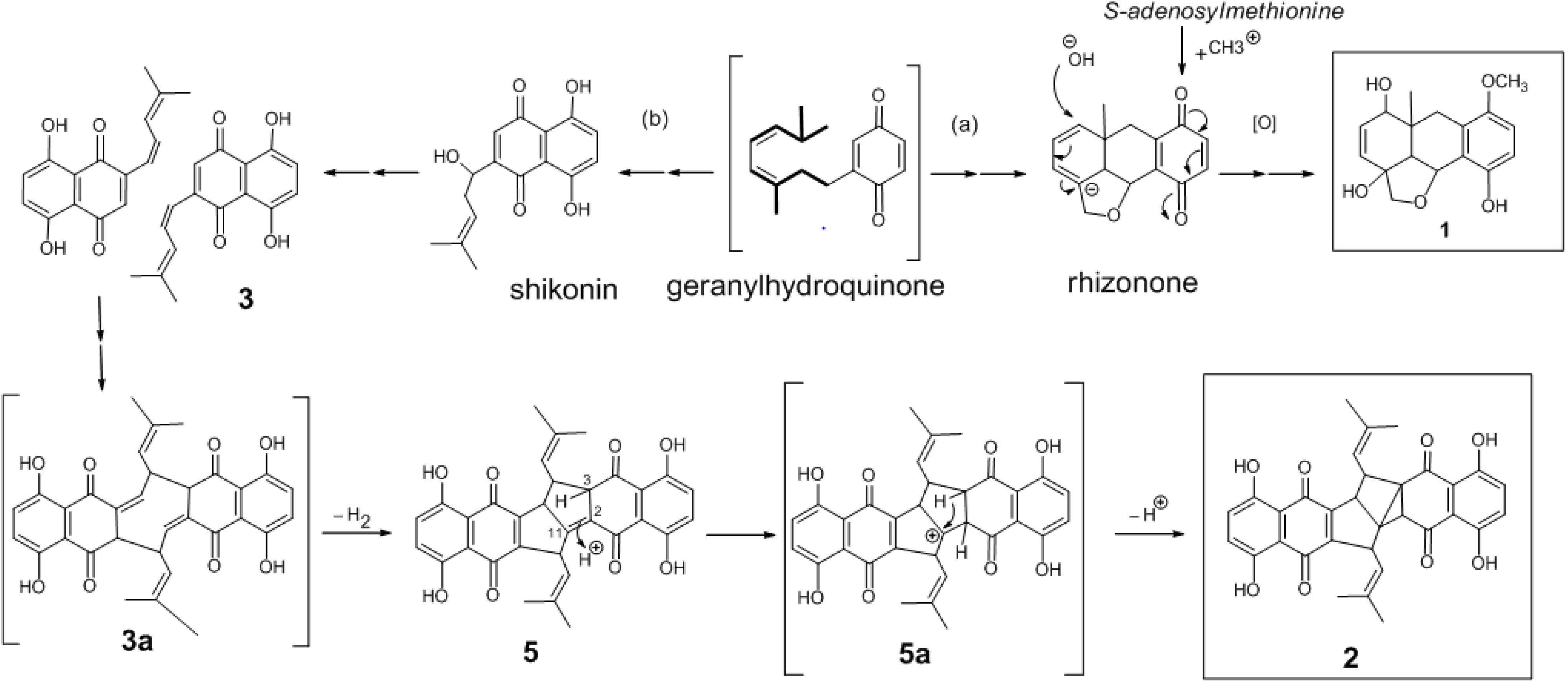 Molecules 19 05940 g005