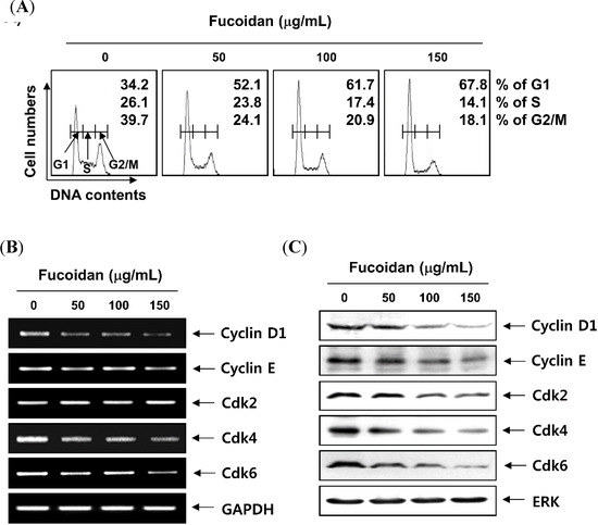 Molecules 19 05981 g003 550