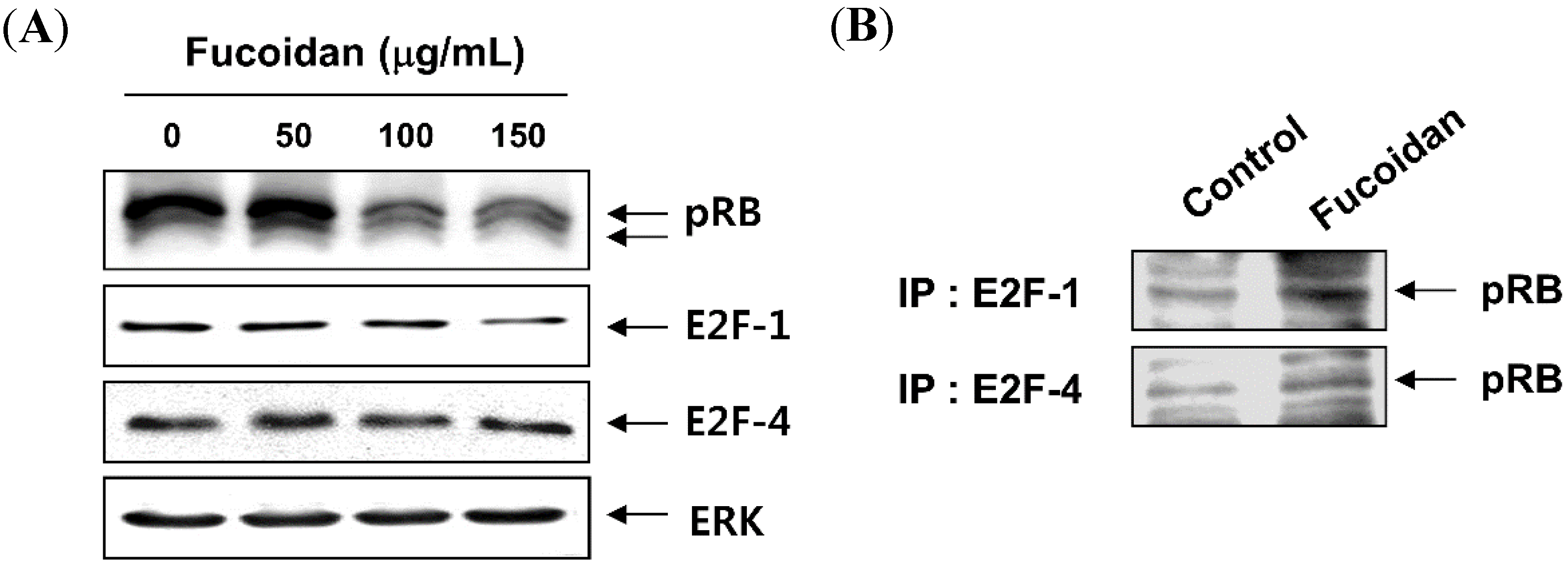 Molecules 19 05981 g005