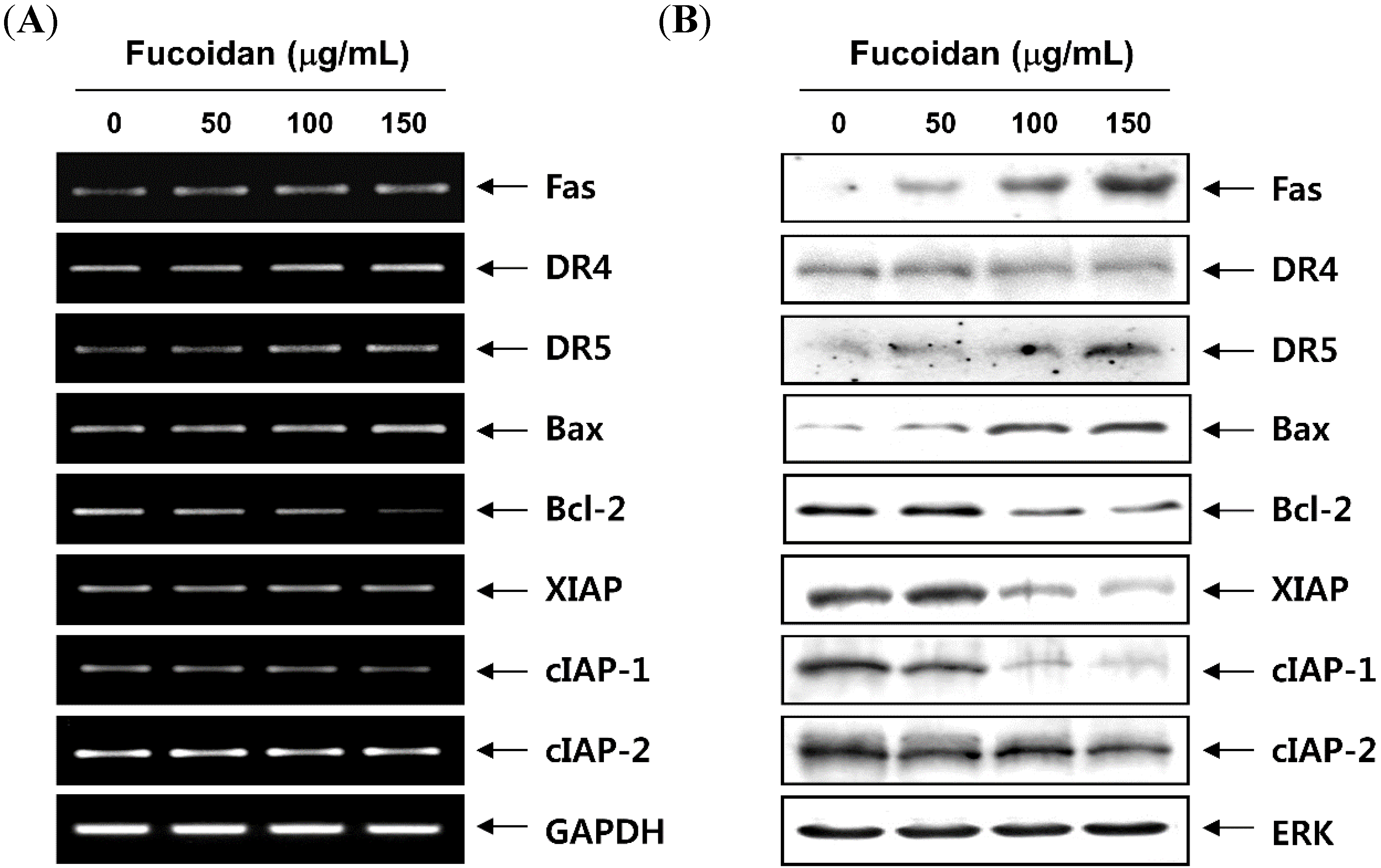 Molecules 19 05981 g007