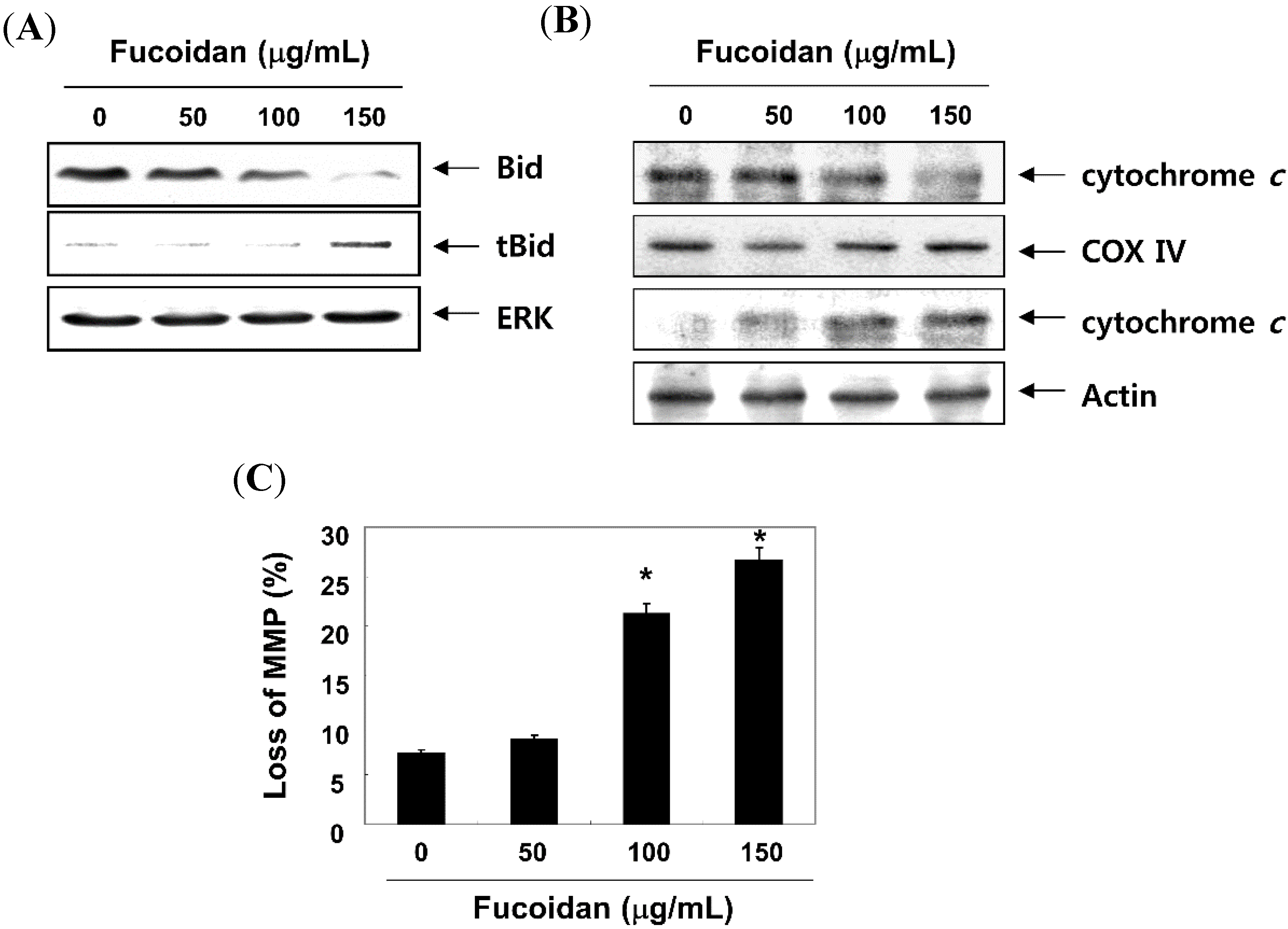 Molecules 19 05981 g008