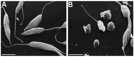 Molecules 19 06070 g001 550