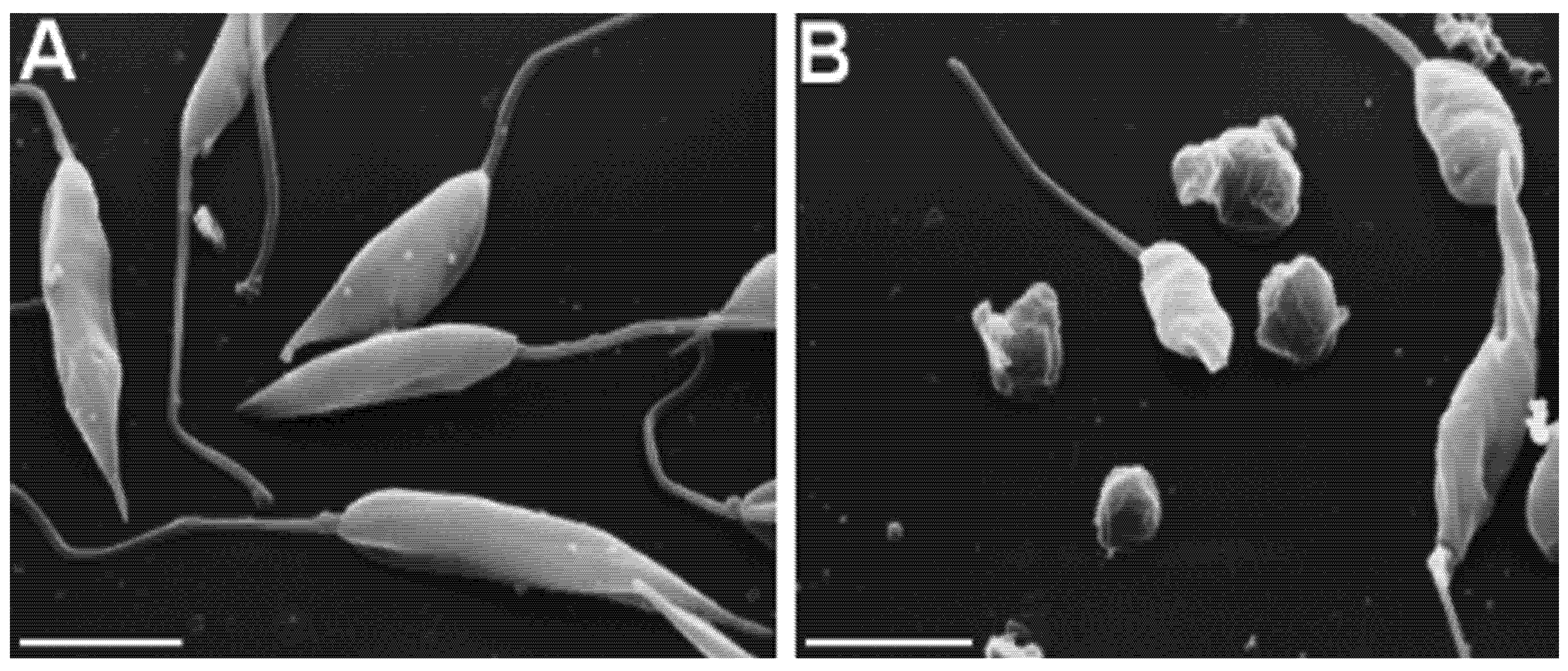 Molecules 19 06070 g001