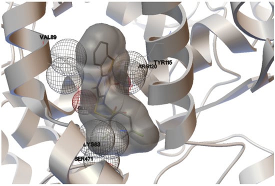 Molecules 19 06106 g005 550