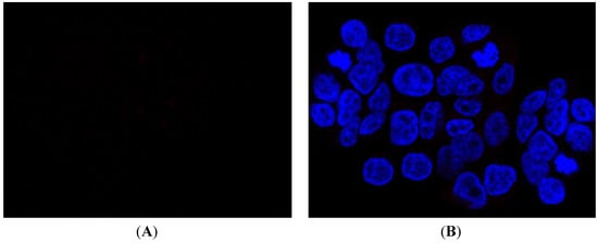 Molecules 19 06106 g011 550