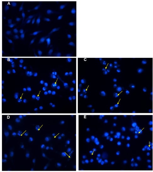 Molecules 19 06142 g003 550