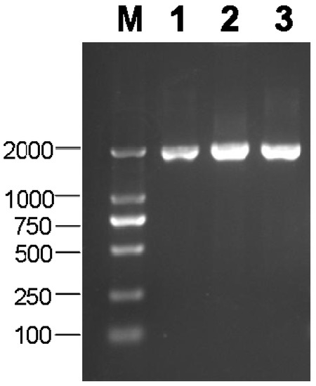 Molecules 19 06228 g001 550