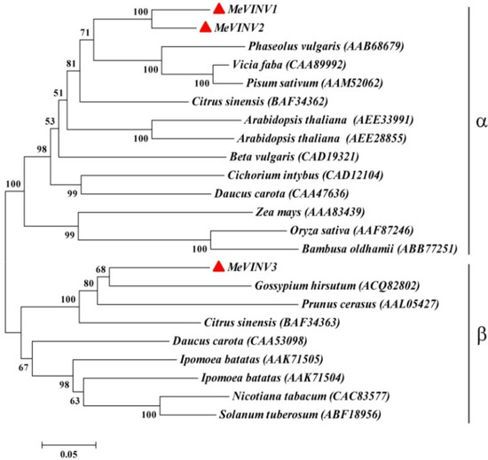 Molecules 19 06228 g005 550