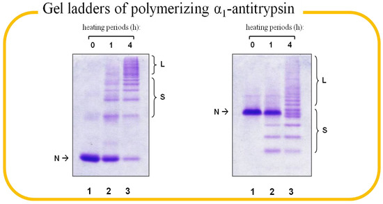 Molecules 19 06330 g003 550