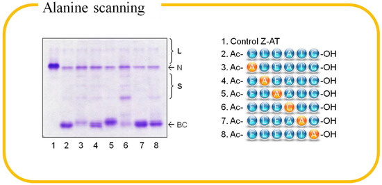 Molecules 19 06330 g004 550