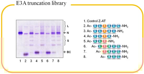 Molecules 19 06330 g005 550