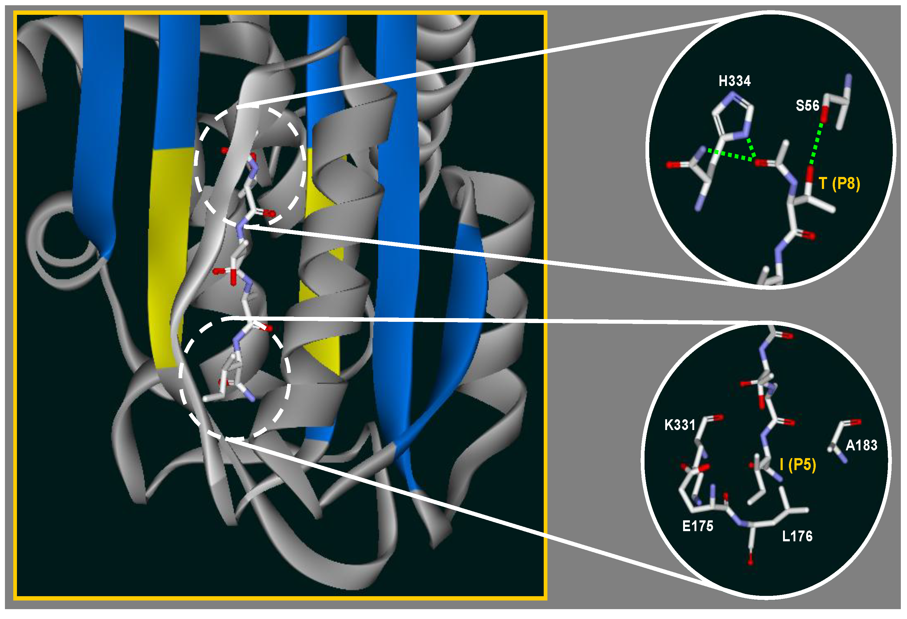 Molecules 19 06330 g009