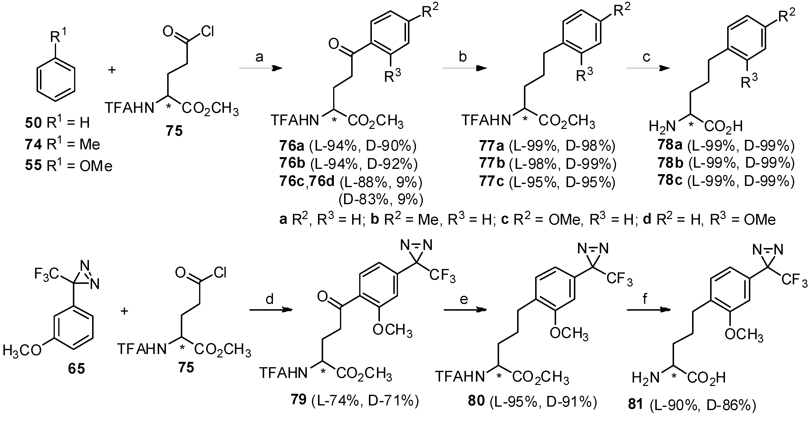 Molecules 19 06349 g014