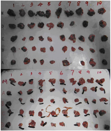 Molecules 19 06368 g003 550