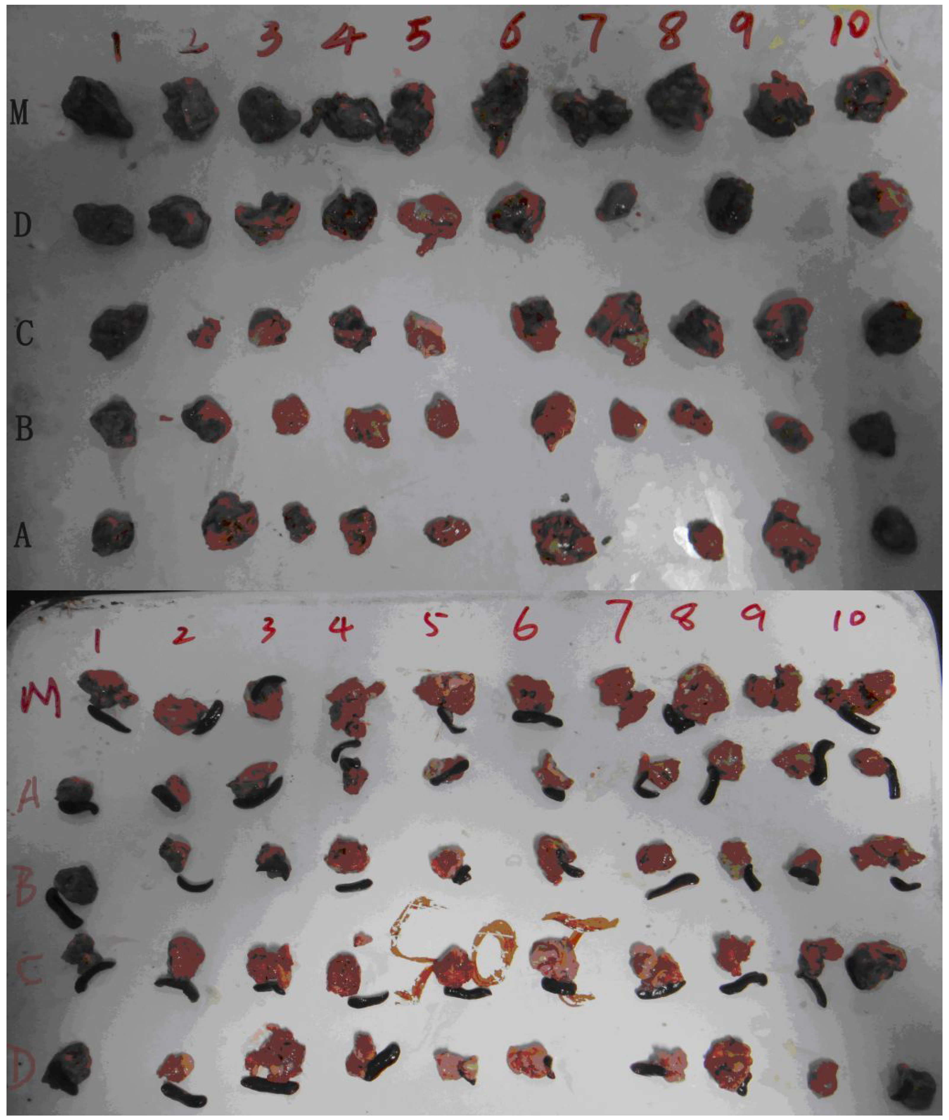 Molecules 19 06368 g003