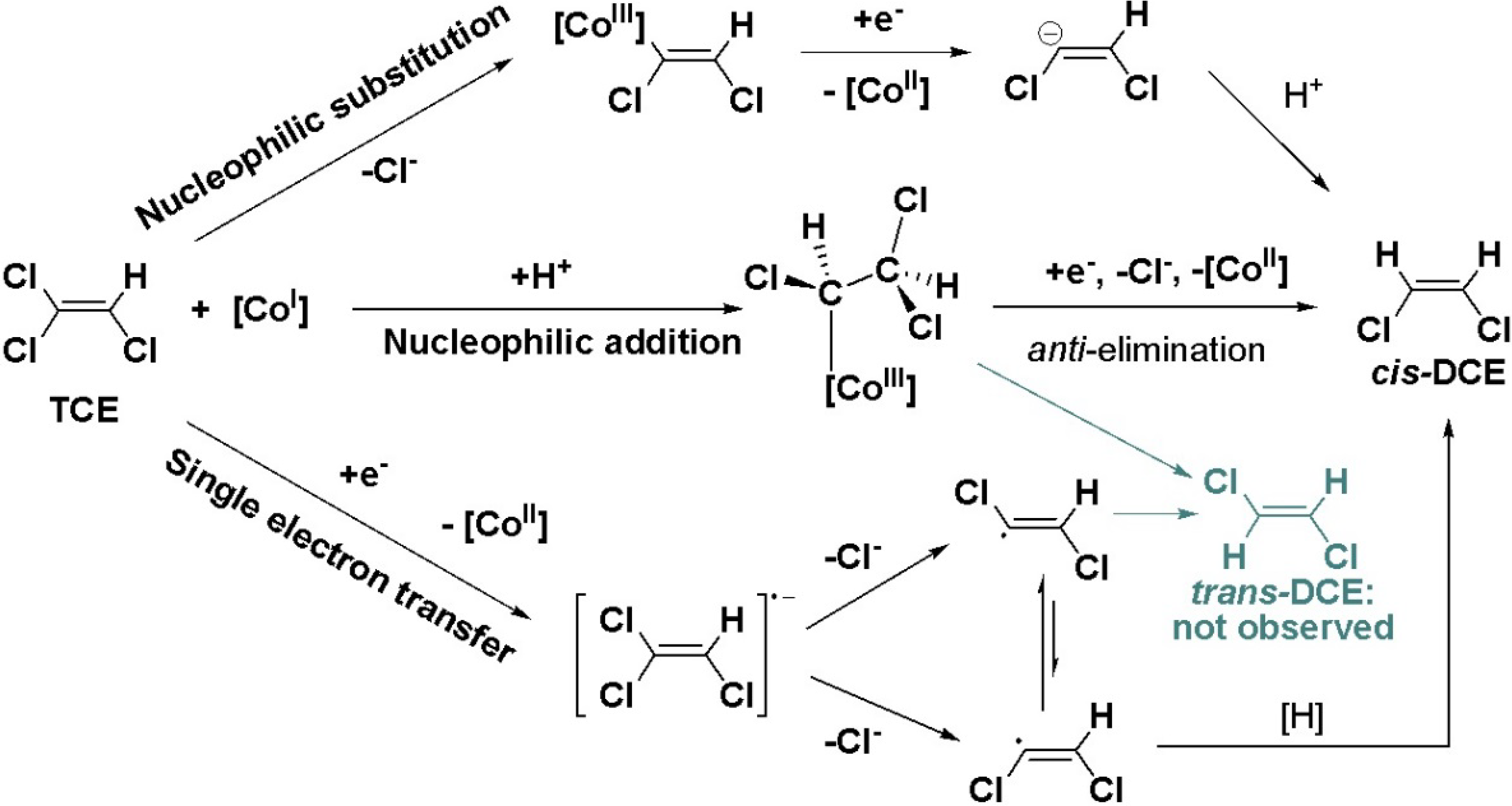 Molecules 19 06450 g009