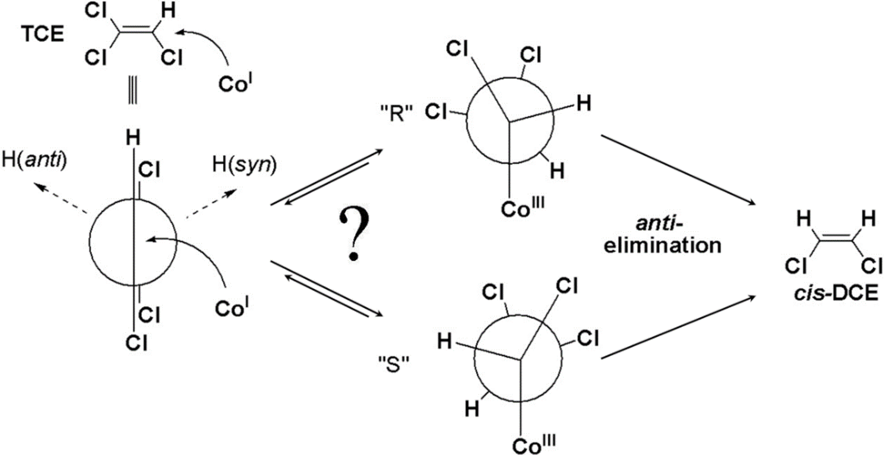 Molecules 19 06450 g012