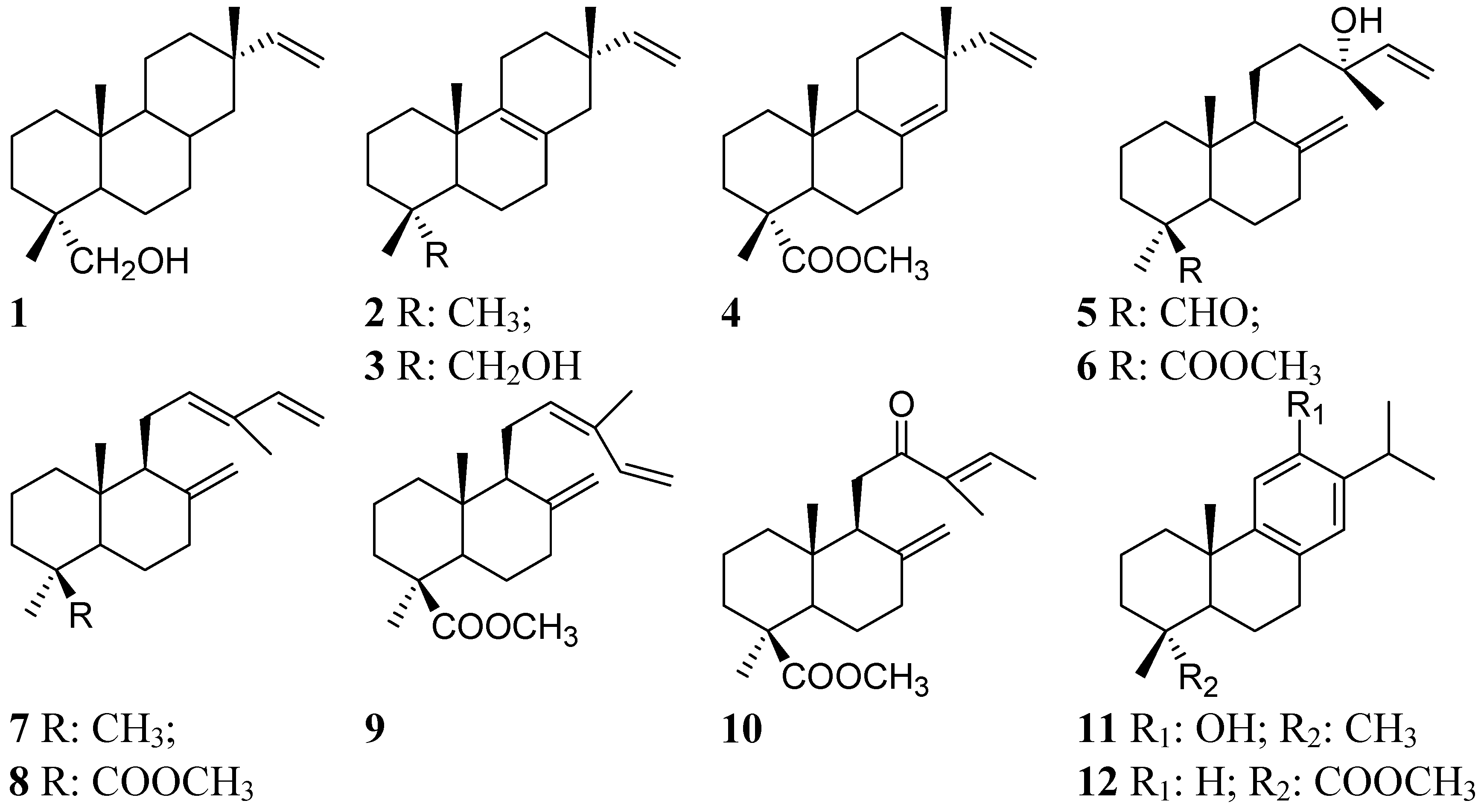Molecules 19 06489 g001