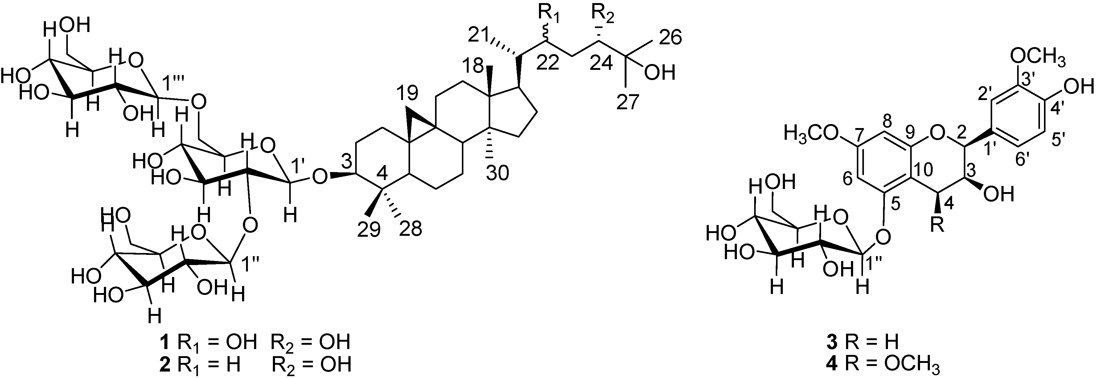 Molecules 19 06623 g001