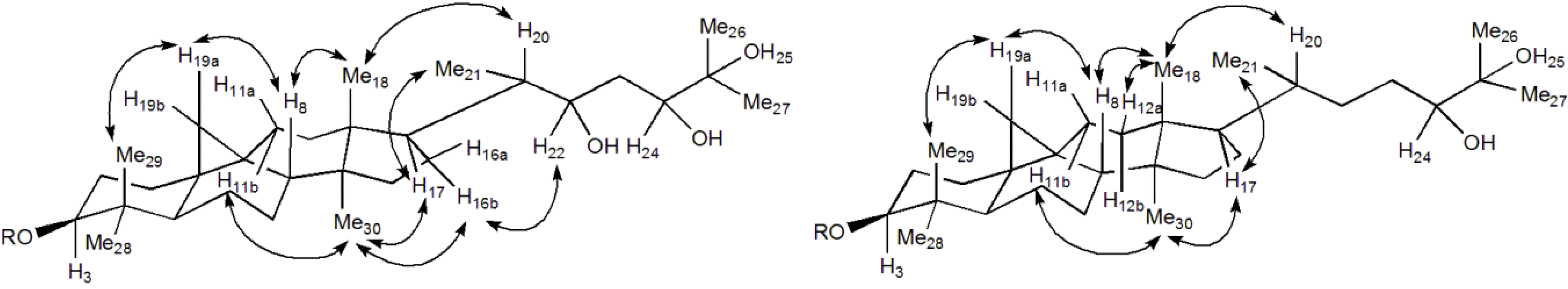 Molecules 19 06623 g003