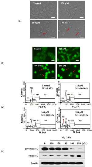 Molecules 19 06671 g001 550