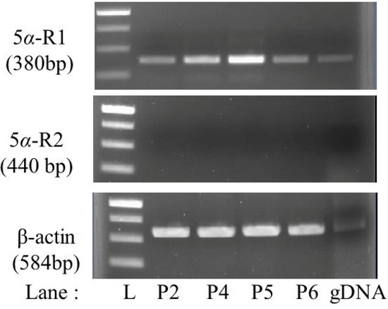 Molecules 19 06809 g001 550