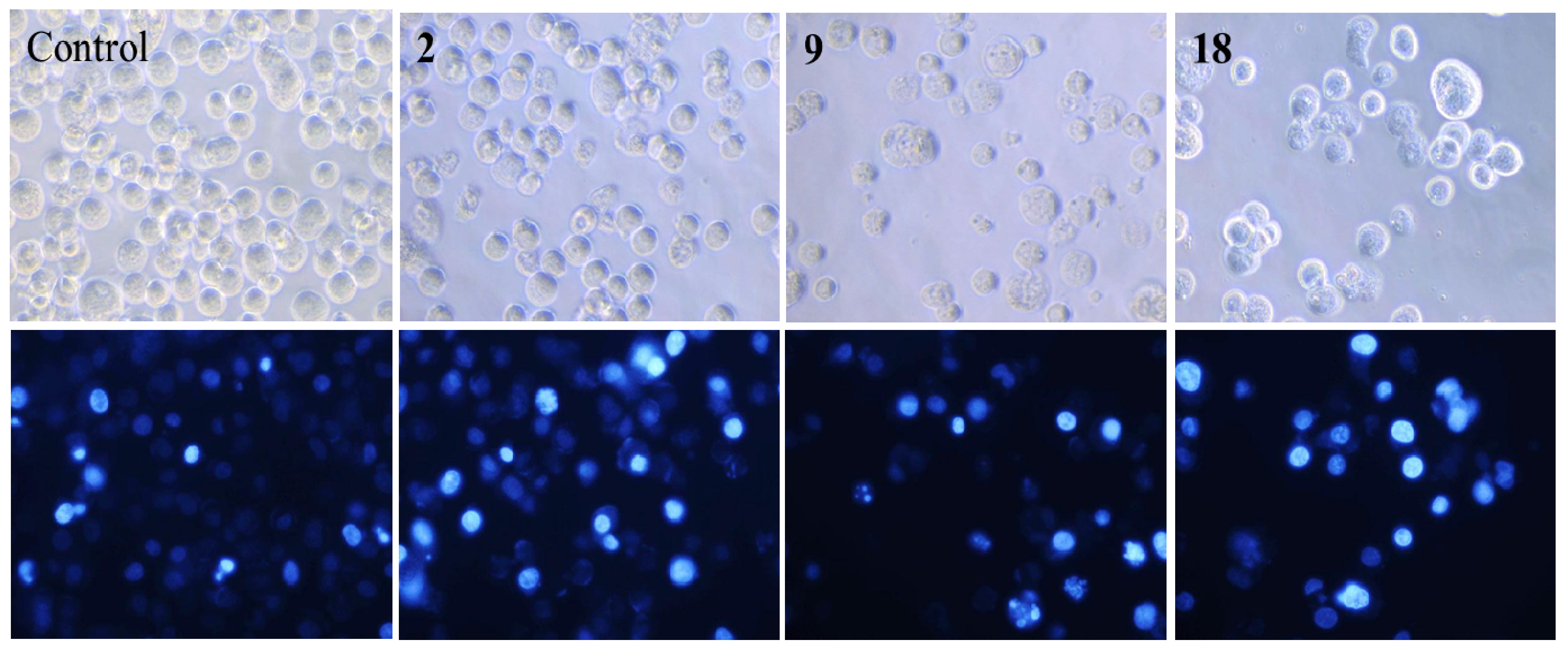 Molecules 19 06911 g002