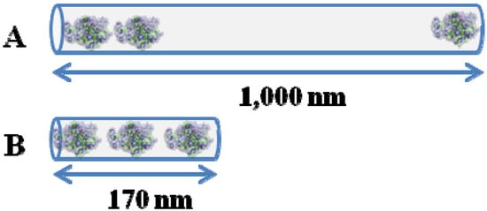 Molecules 19 07057 g006 550