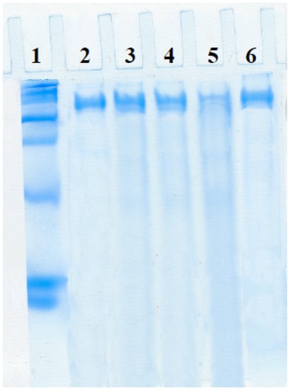 Molecules 19 07057 g009 550
