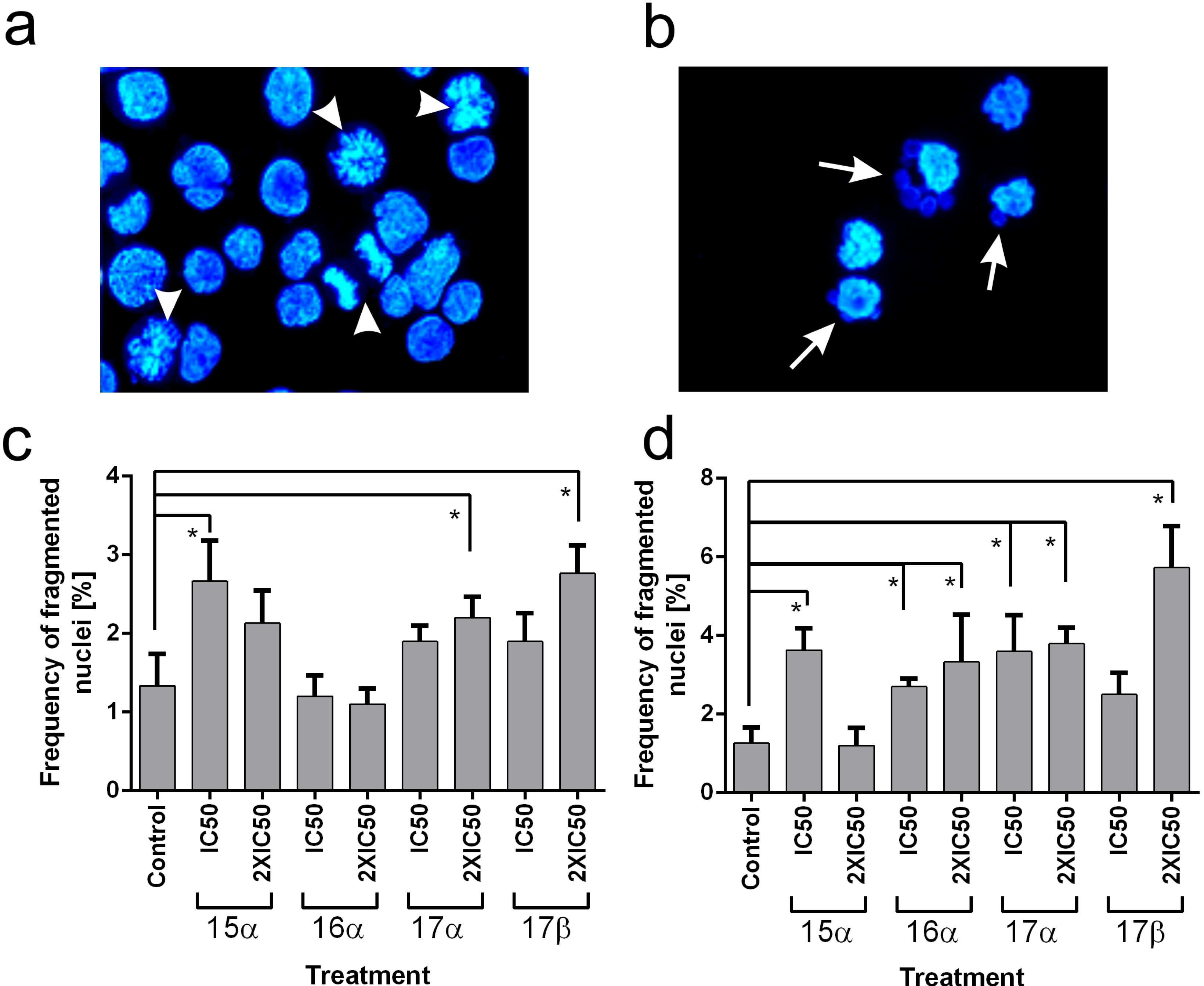 Molecules 19 07072 g003