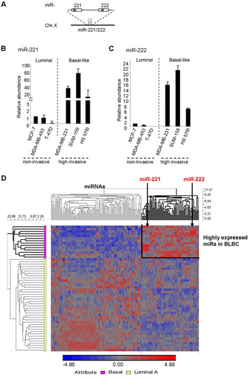 Molecules 19 07122 g001 550