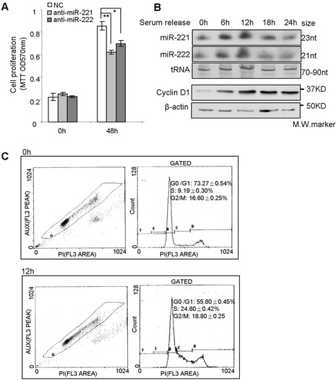 Molecules 19 07122 g004 550