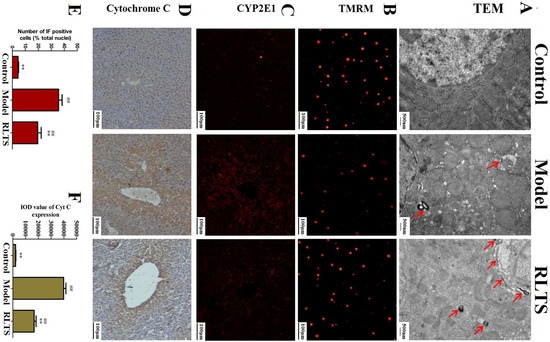 Molecules 19 07189 g004 550