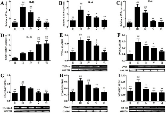 Molecules 19 07189 g005 550