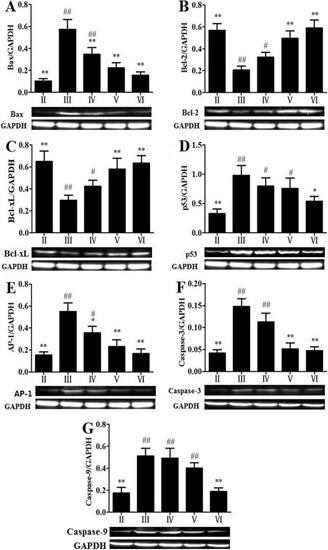Molecules 19 07189 g006 550