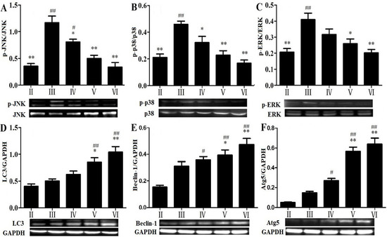Molecules 19 07189 g007 550