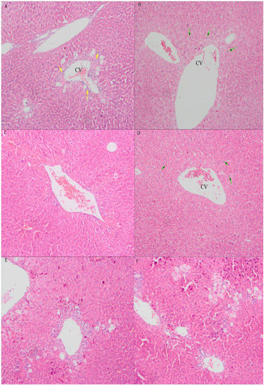 Molecules 19 07223 g005 550